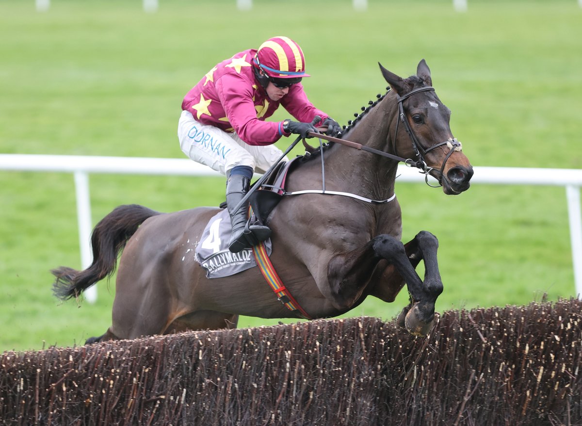 RacingPost's tweet photo. KOKTAIL DIVIN wins the Manifesto Novices' Chase! https://t.co/xqVGQOoNnb