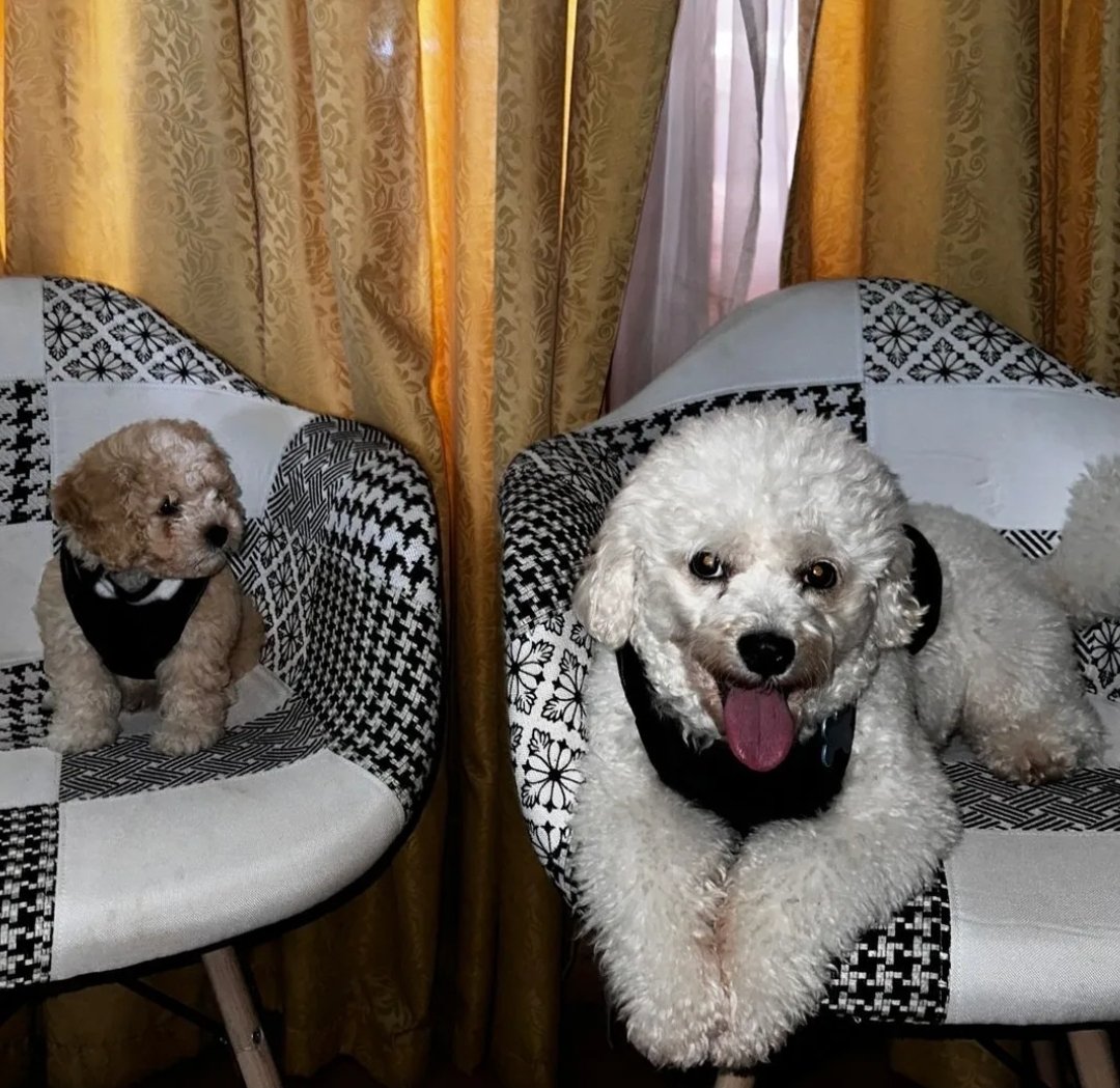 Pachi Torres 🤍🖤 tweet media