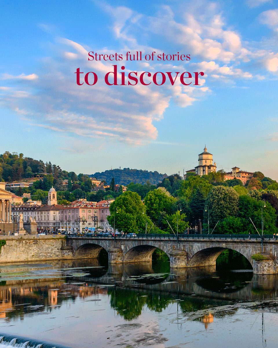 NH Collection tweet media