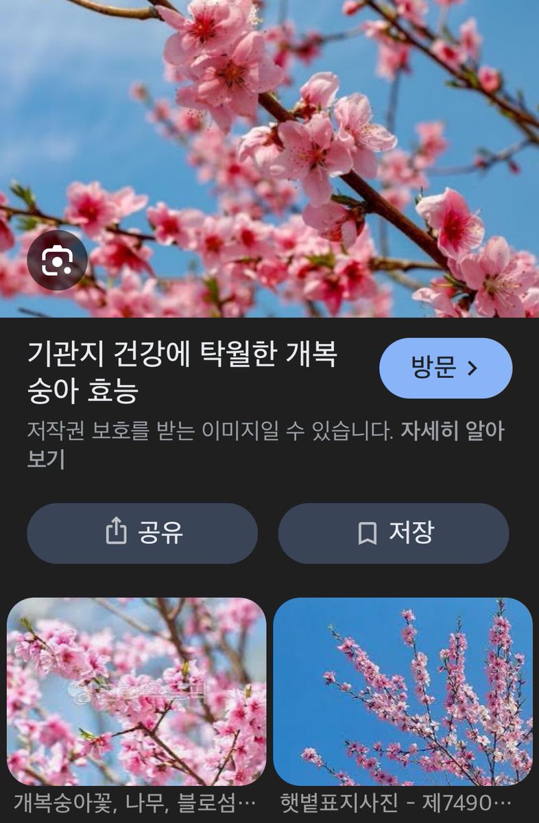 mongmongHem's tweet photo. 개복숭아(돌복숭아)입니당 https://t.co/2fNH48ymeC