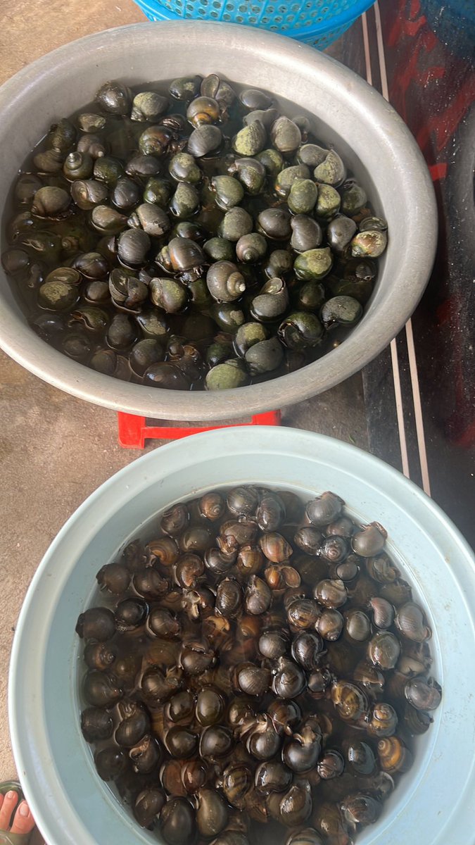 dama7944 tweet media