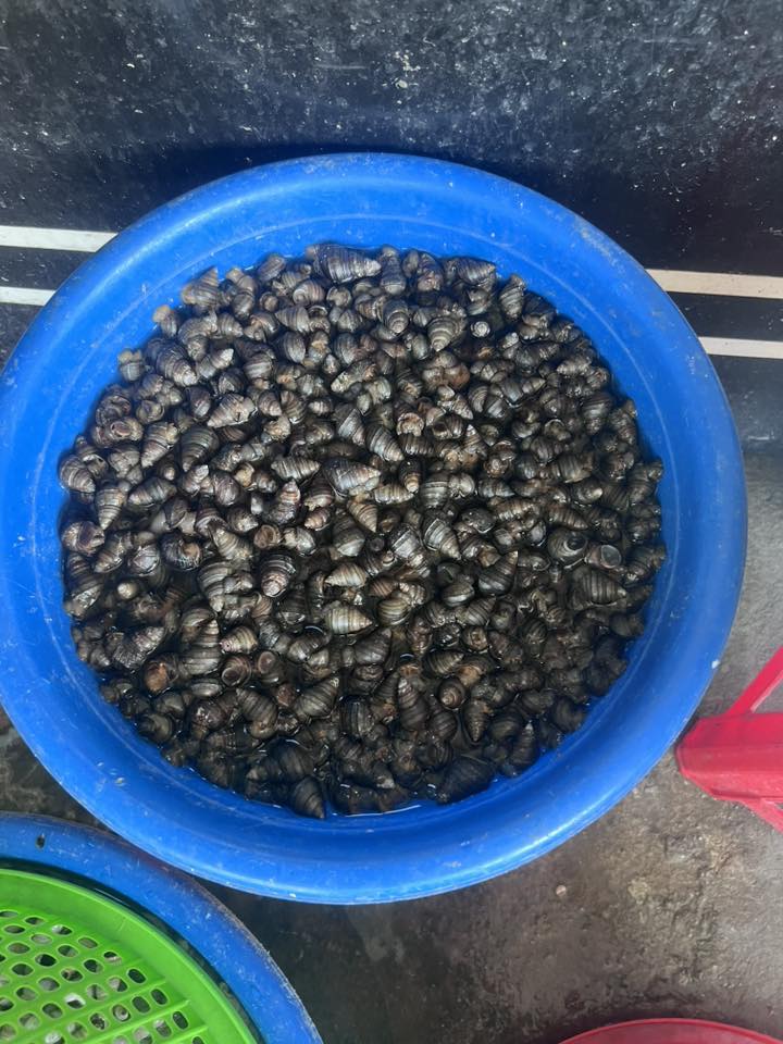 dama7944 tweet media