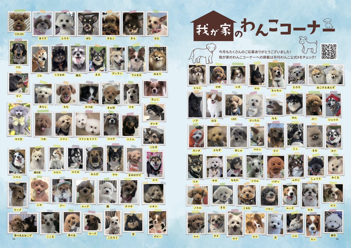 gekkan_wanko's tweet photo. 【当選者発表】
こちらの写真は月刊わんこvol.29（4/15発売）我が家のわんこコーナーに掲載されています👏🐶㊗️※掲載されていたらリポストお願いします！

通常版→https://t.co/RvB4lrDP76
パジャマ版→https://t.co/pLsMxAQDBa
※表紙以外の掲載内容は同じです

当選発表は画像をご確認ください📖
@jyuushimatukai
@aki_sunny
@wakapaaan2423
@jamjam_yujam
@kaechanmarochan
@itsmeosusu
@MisatoYoneya
@LeoMroon
@inu_ippaiiru
@mirika2717
@jin_87hana
@20090707love
@nanahenri1
@copi091500
@ayumiyu01511
@ponta_styles