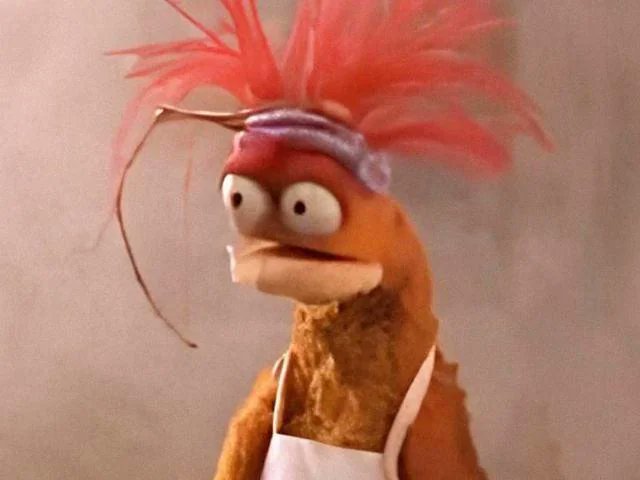 RedDirtSport tweet media