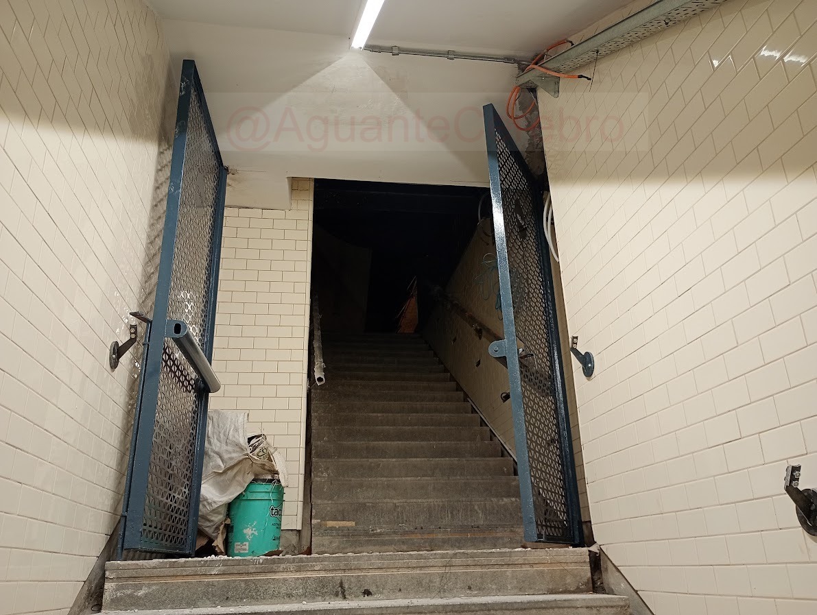 Cerebro®️ tweet media