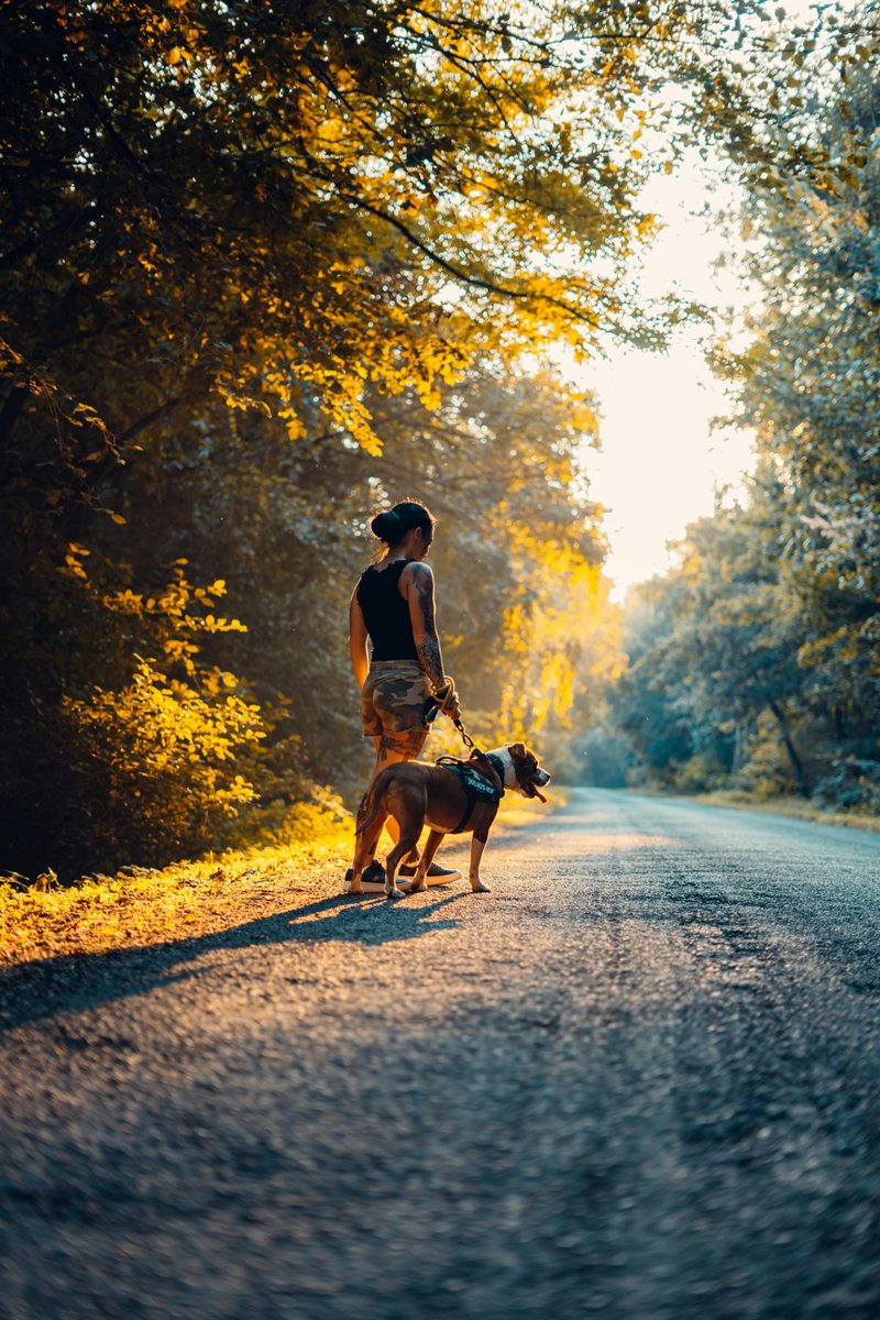AnthrozoosJ's tweet photo. New #OpenAccess Research: "The Influence of Service Dogs on Families of Veterans With PTSD: A Systematic Literature Review"

#HumanAnimalInteraction #ServiceDogs #VeteransLivesMatter 

https://t.co/RZmkPeGIHq https://t.co/AhyrFm10Lz