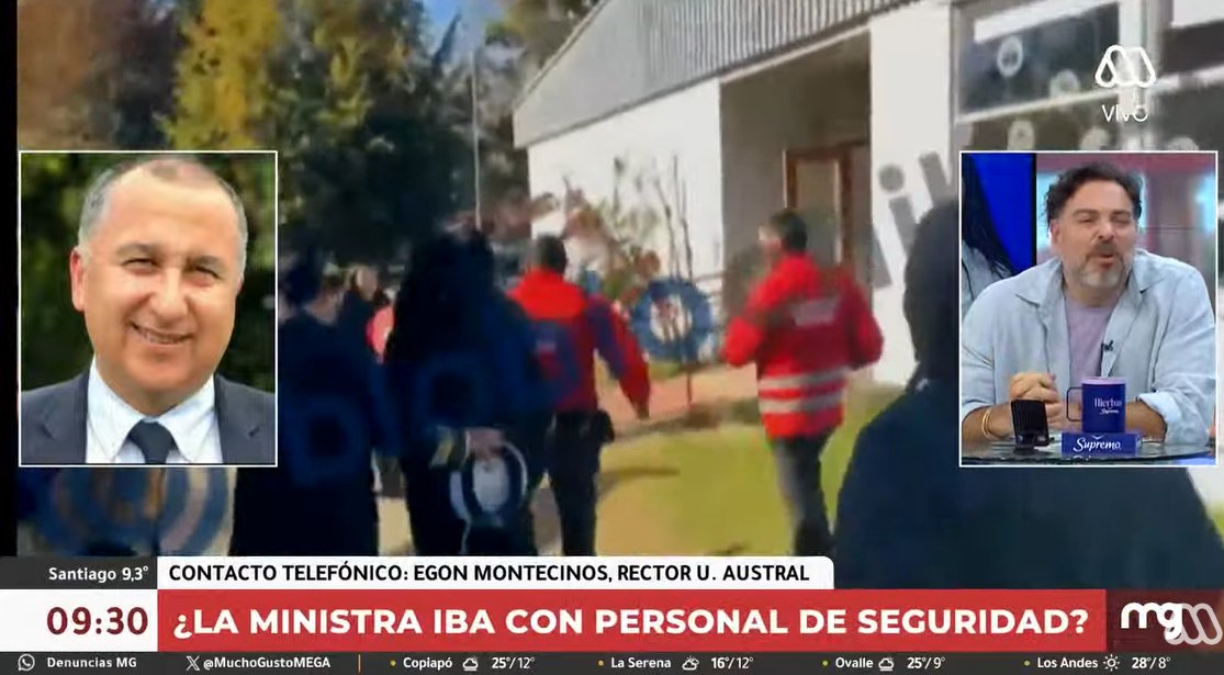 HoraciaD tweet media