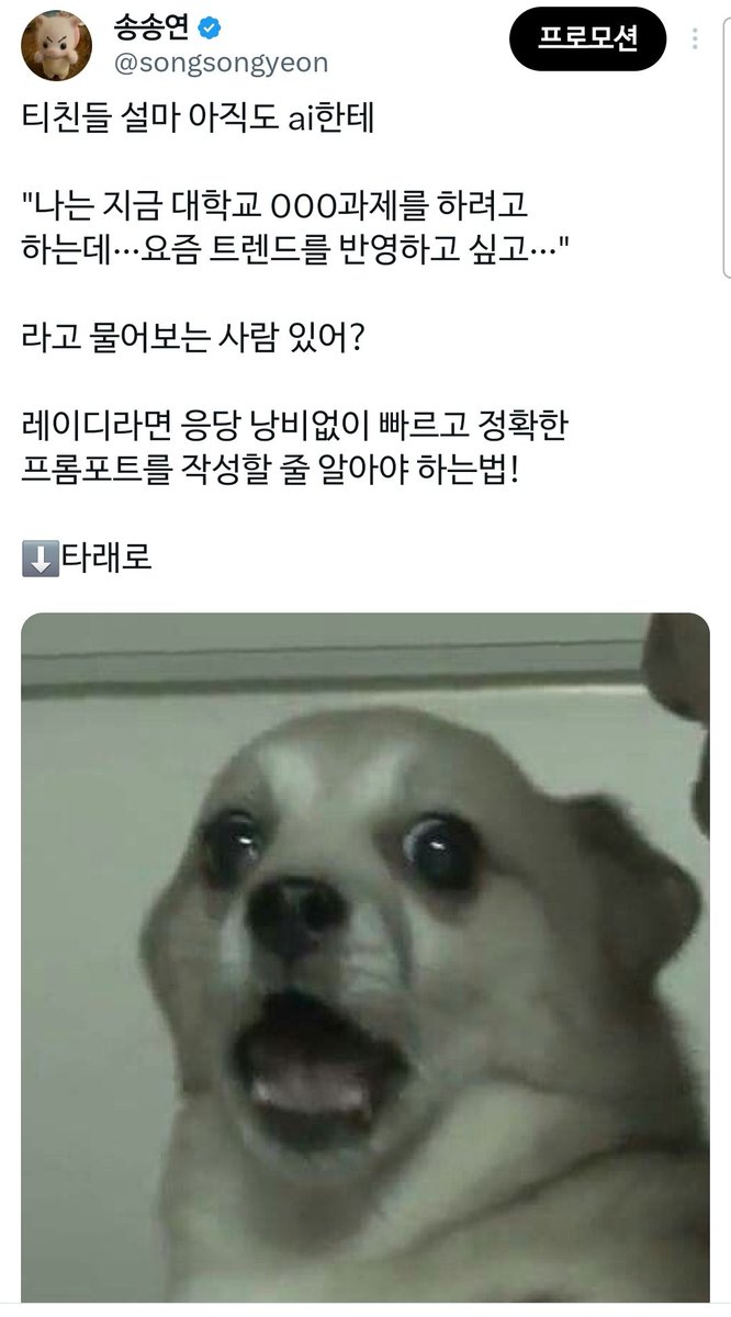 송송연 tweet media