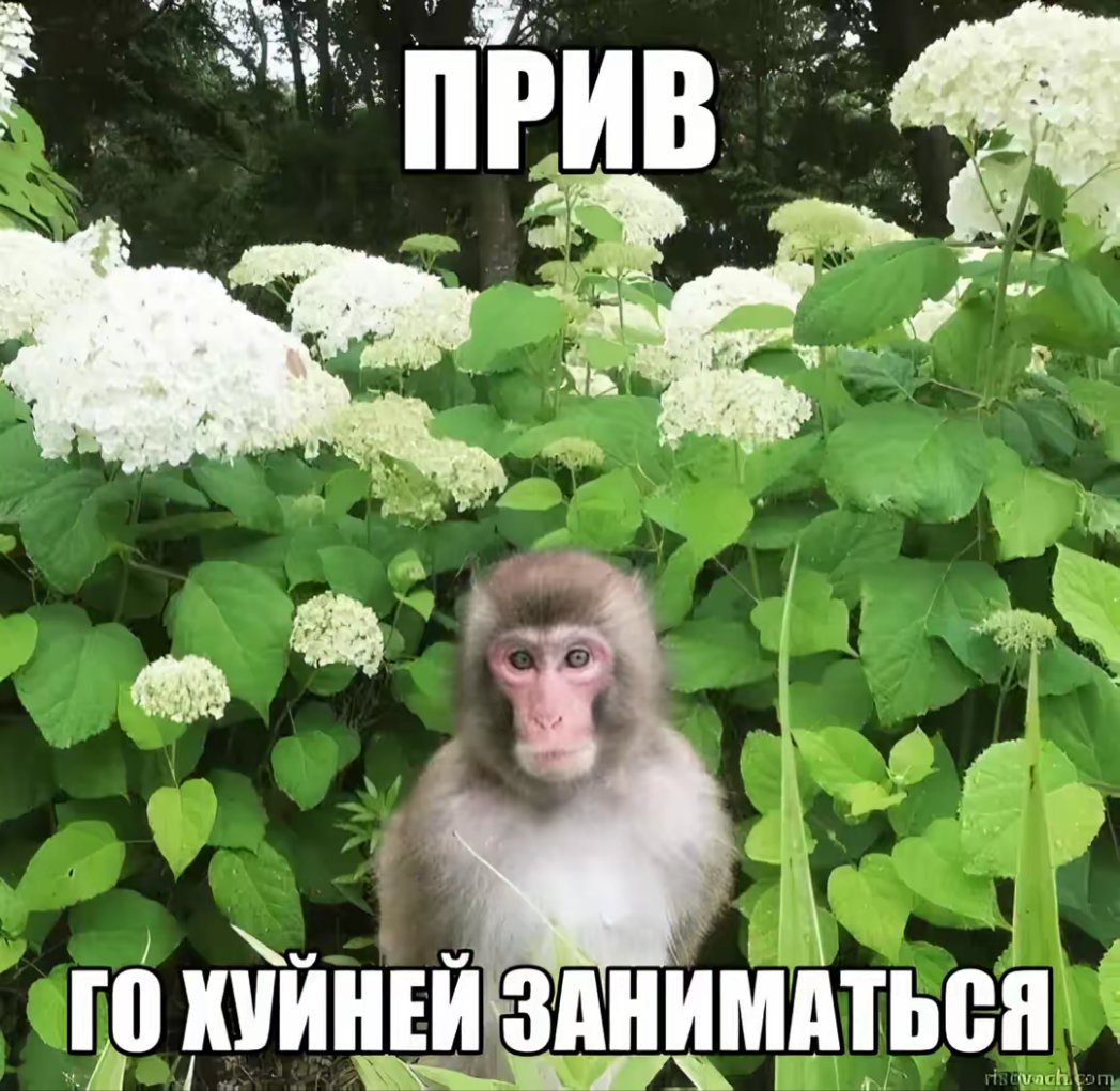 題 S୭ৎna tweet media