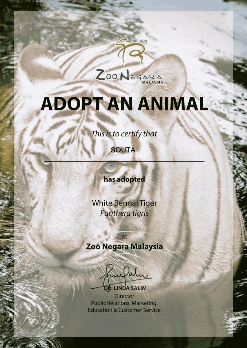 mimi 🐈⬛ tweet media