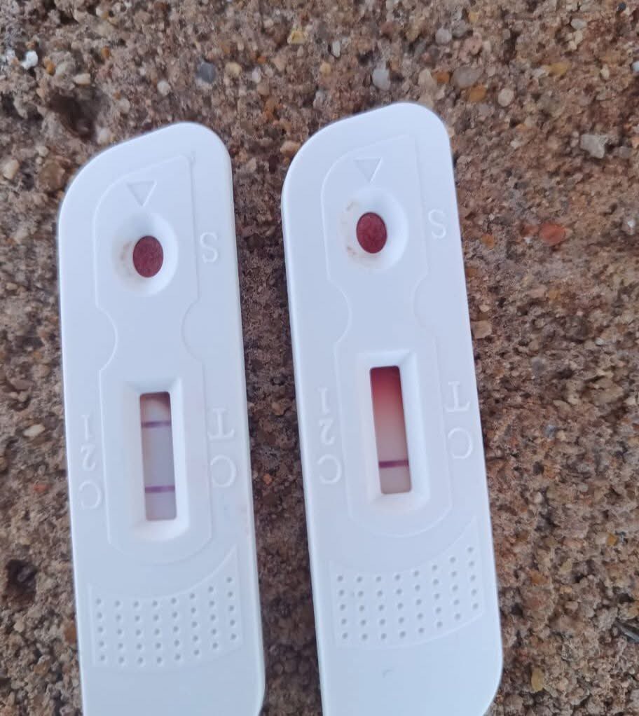 MA HOTWINGS tweet media