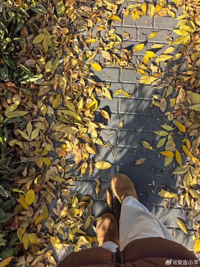 Murad Simre tweet media