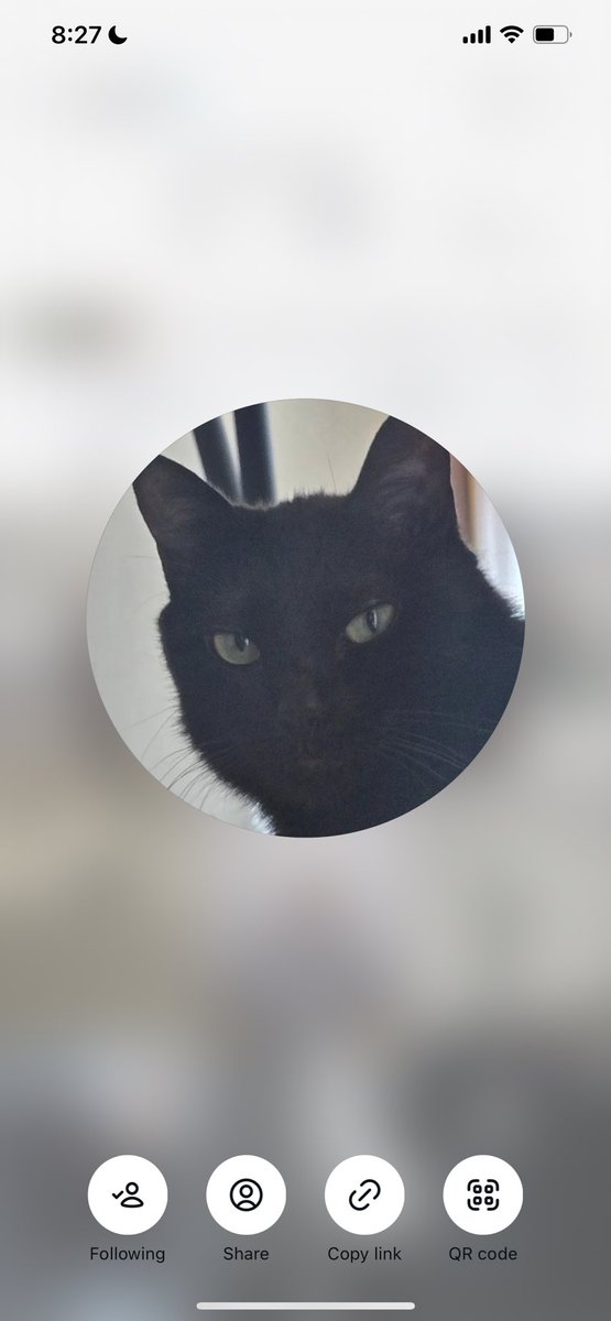 (･_･ 🚂 ᴬᴿᴵᴿᴬᴺᴳ tweet media