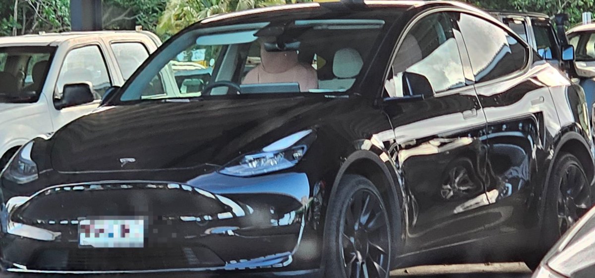 flaxious tweet media