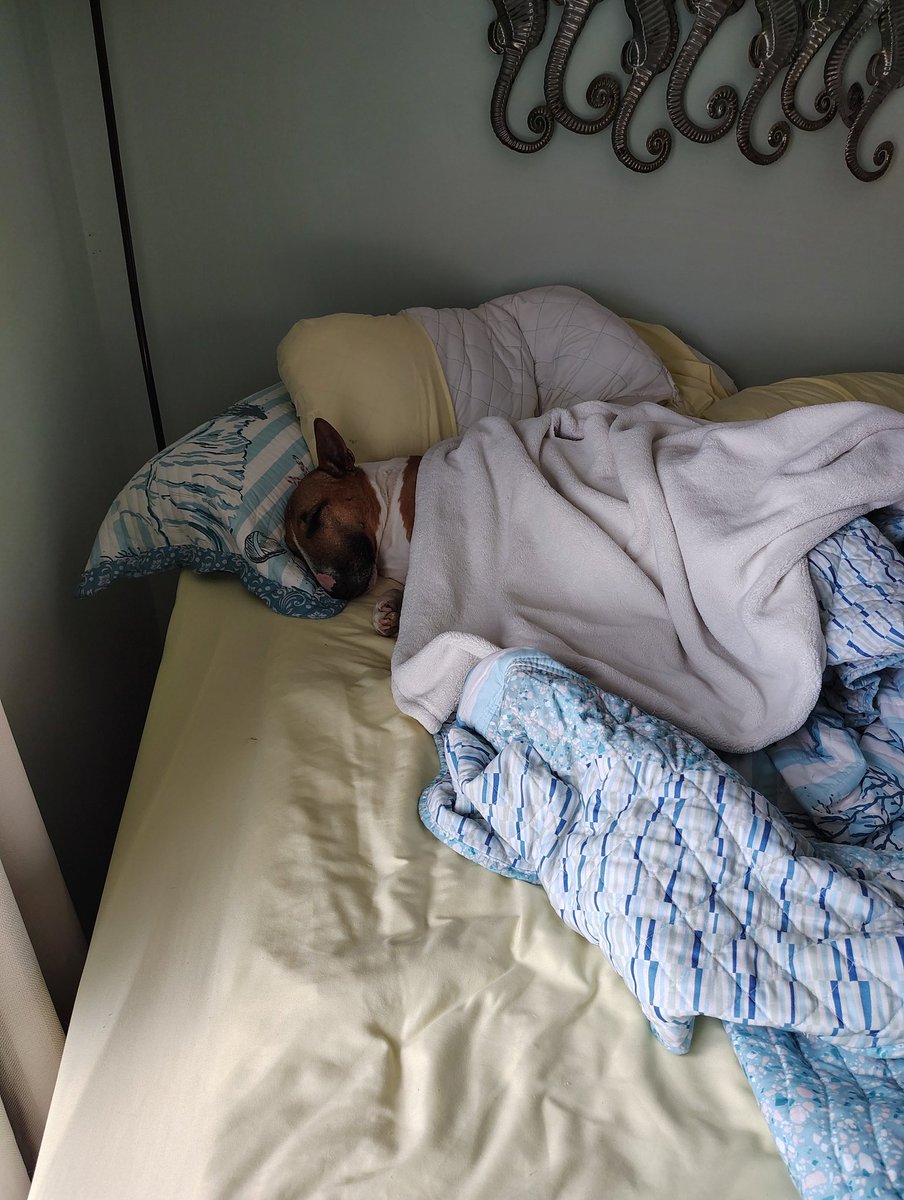 Sunnysideup tweet media