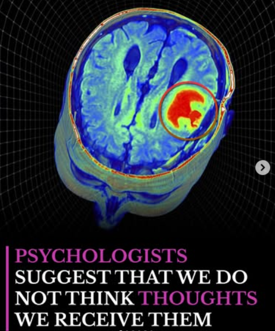 Neuron Powers 🧠 tweet media