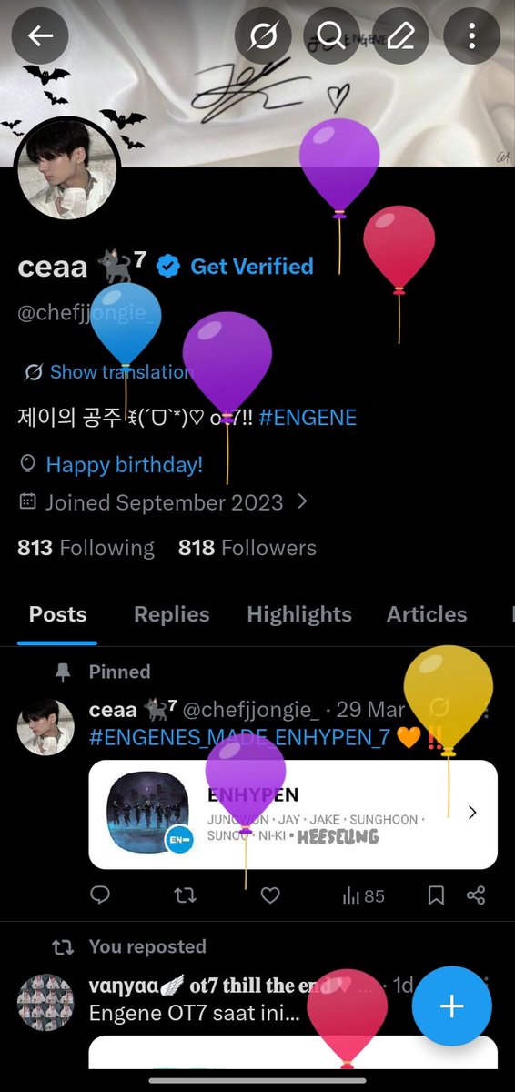 ceaa 🐈⬛ tweet media