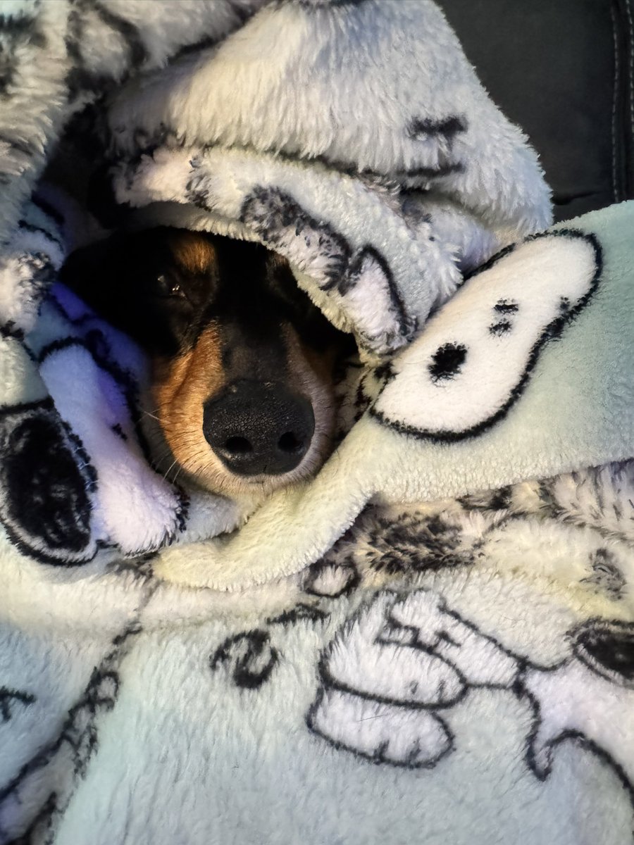 mandyhawk19 tweet media