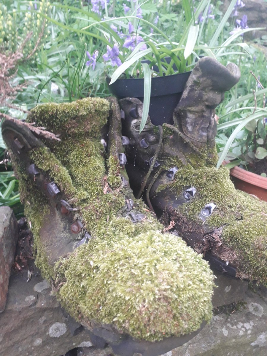 Darren Bird tweet media