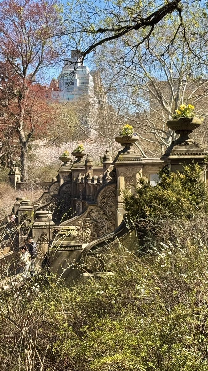 NYCkopp's tweet image. Central Park, New York City
