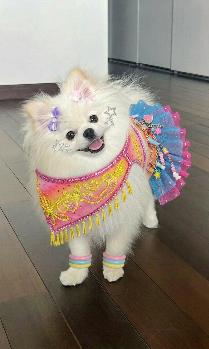 Girl’s Girl 🇦🇷