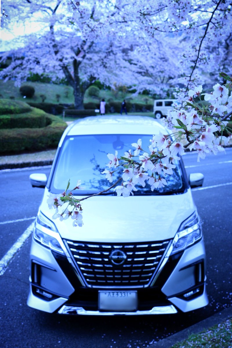 カジ tweet media