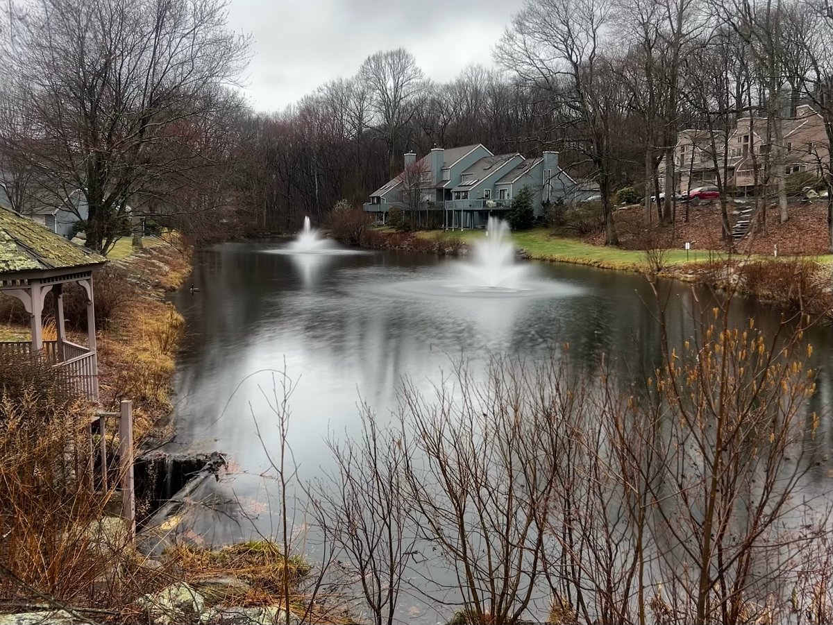 thepondandlake's tweet image. Double the fountains, double the beauty. 

#ponds #pondmanagement #wateraerator #pondaeration #fairfieldcountyct