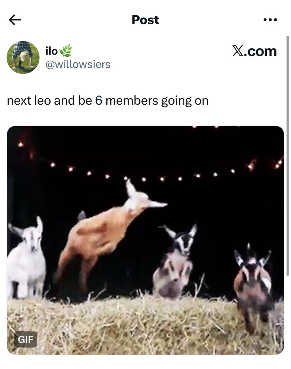 LEO PROTECTION TEAM tweet media