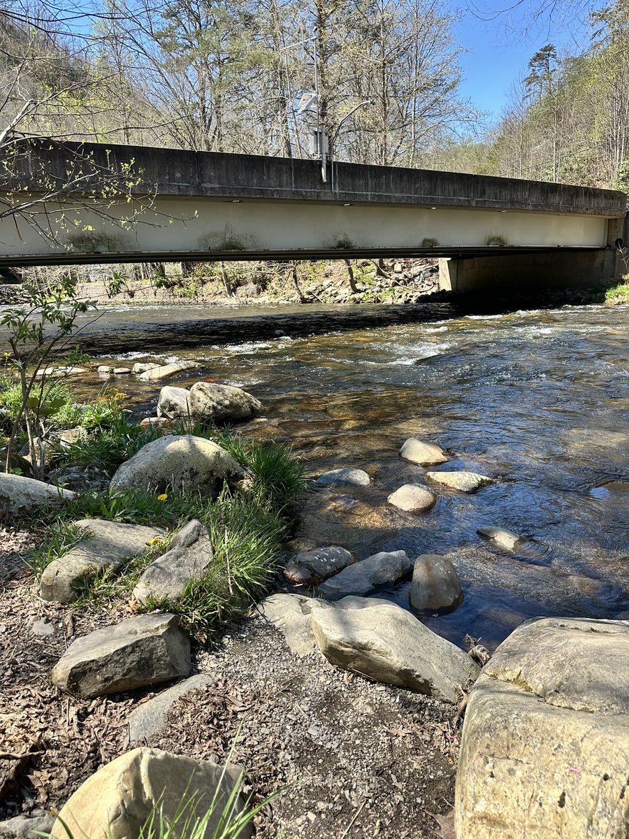 DVautomatic's tweet photo. Been a while since I been on, I had this pesky cancer thing. I’m good now. Little river in Tennessee where I’m on a little Va-cay. https://t.co/4Rai7PsOyG