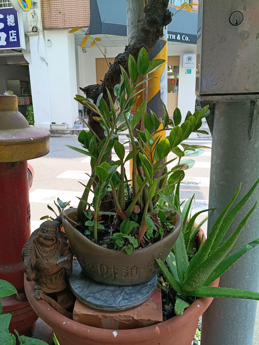 黒色中国（台湾徒歩一周中） tweet media