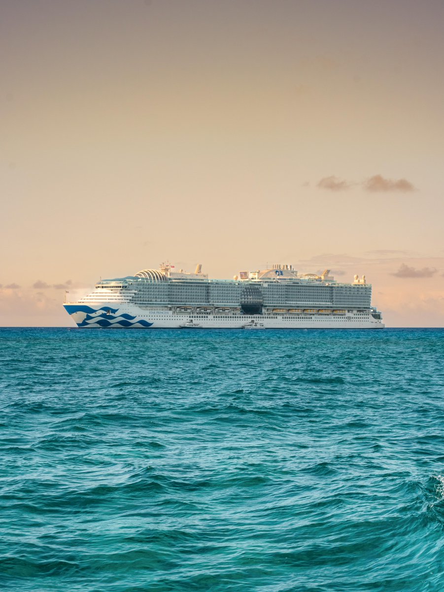 Princess Cruises tweet media