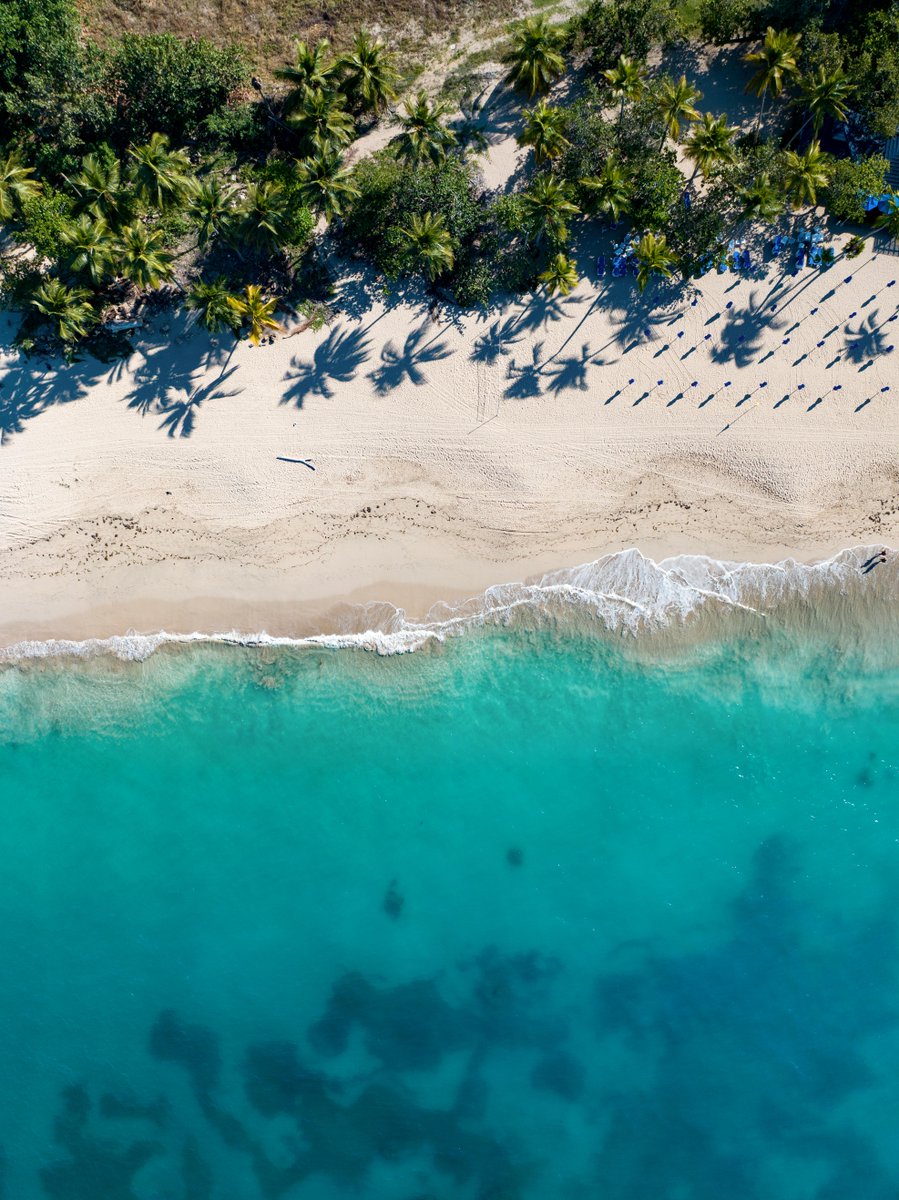 Princess Cruises tweet media