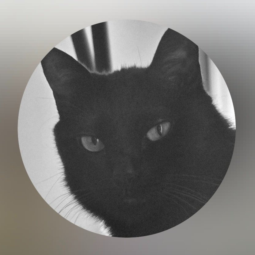 AGUST D CHARTS tweet media