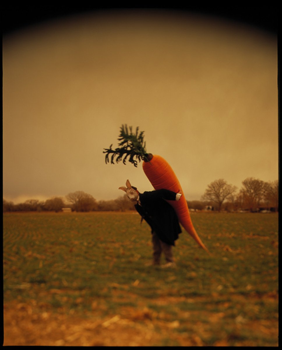 chip simons tweet media