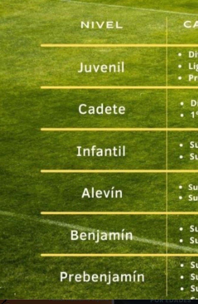 🚩 Fran 🚩 Datos 🚩 tweet media