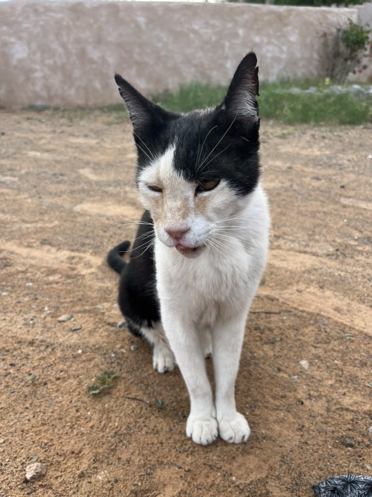 はなもも(hanamomo) tweet media