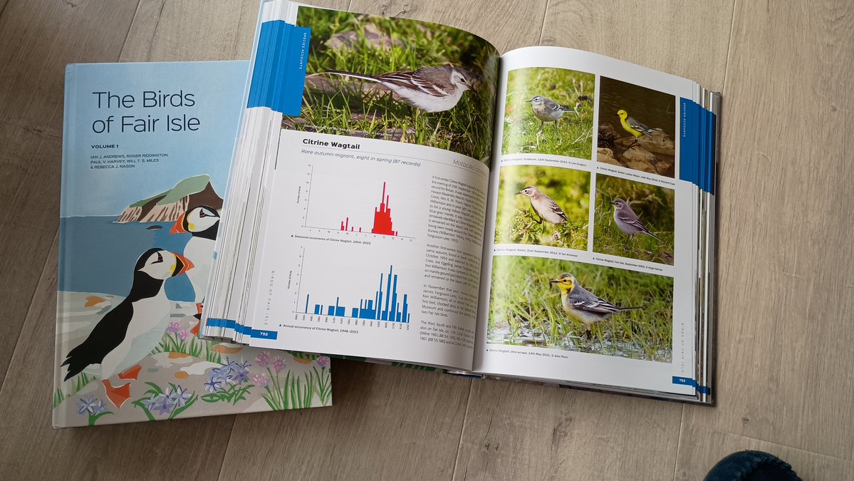 Fair Isle Bird Observatory tweet media