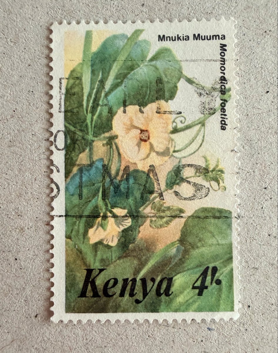 Philatelovely's tweet image. Afternoon all, I’m bacK. It’s the letter K in the a-z of Flowers on Stamps. Here’s my stamps, please share yours too.

Kenya 🇰🇪 
Korea 🇰🇷 

#stampcollecting #philately #stamps