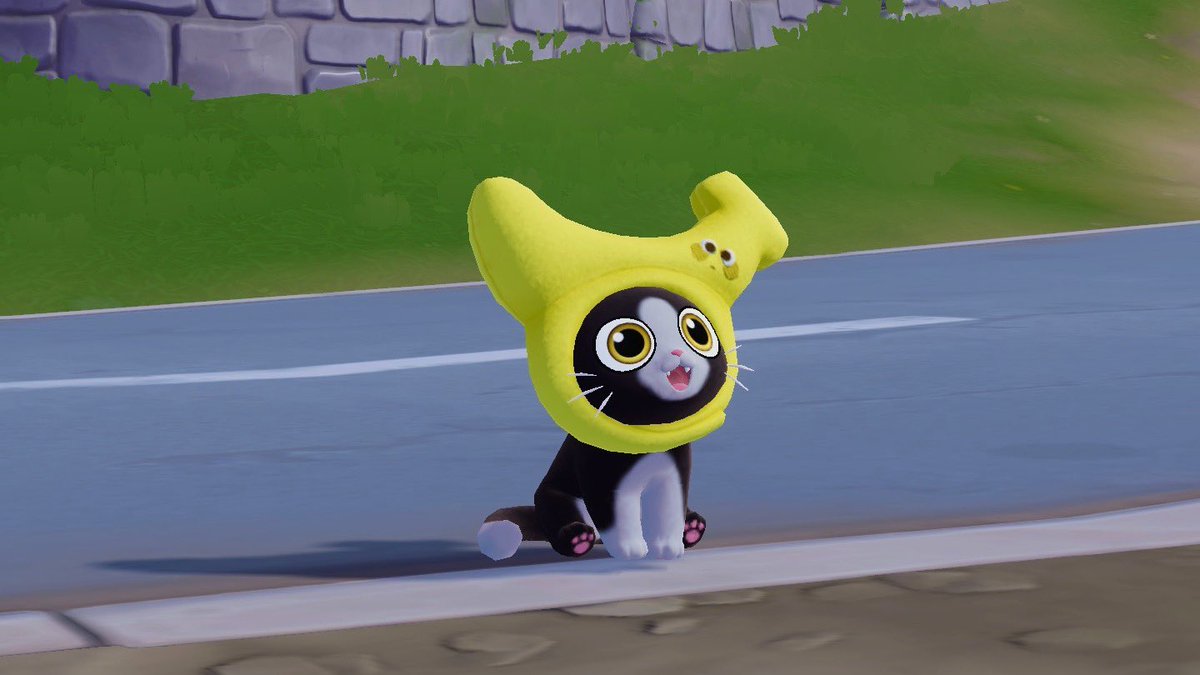 🌸👒 tweet media