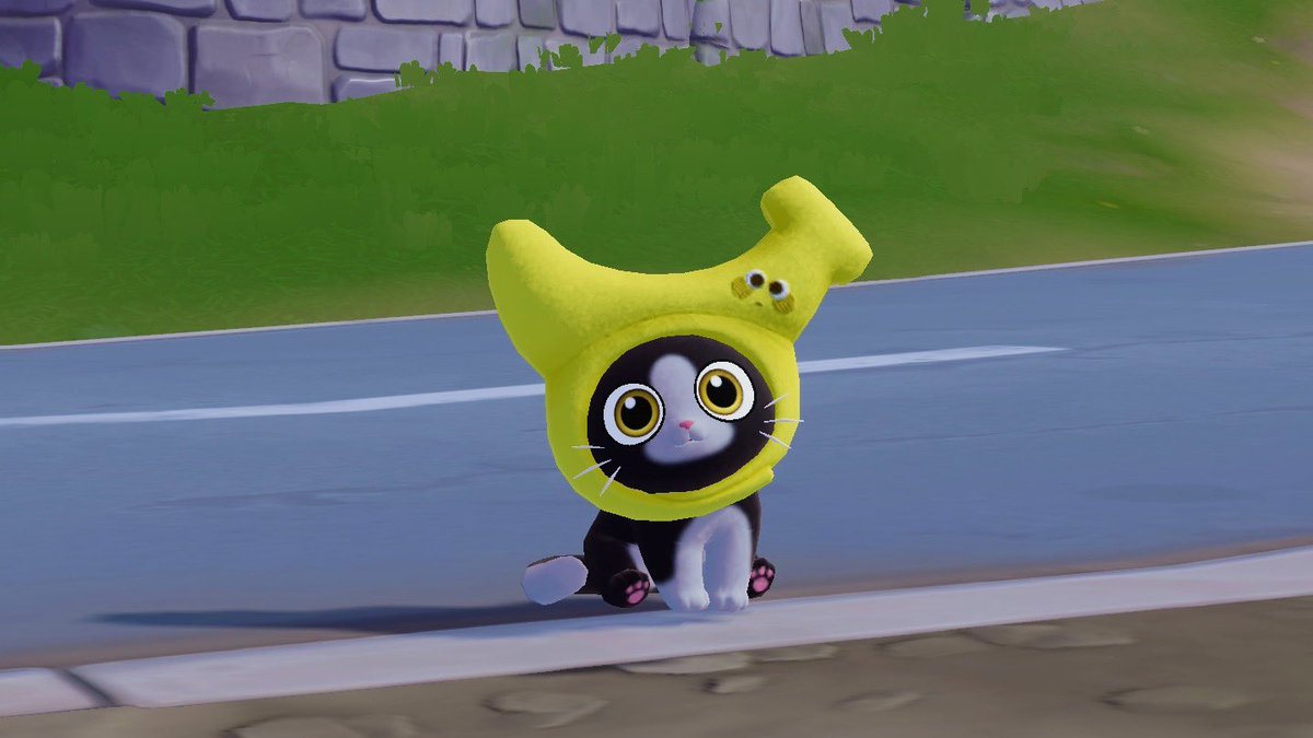 🌸👒 tweet media