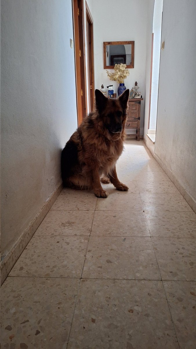 Emi López Ortega tweet media