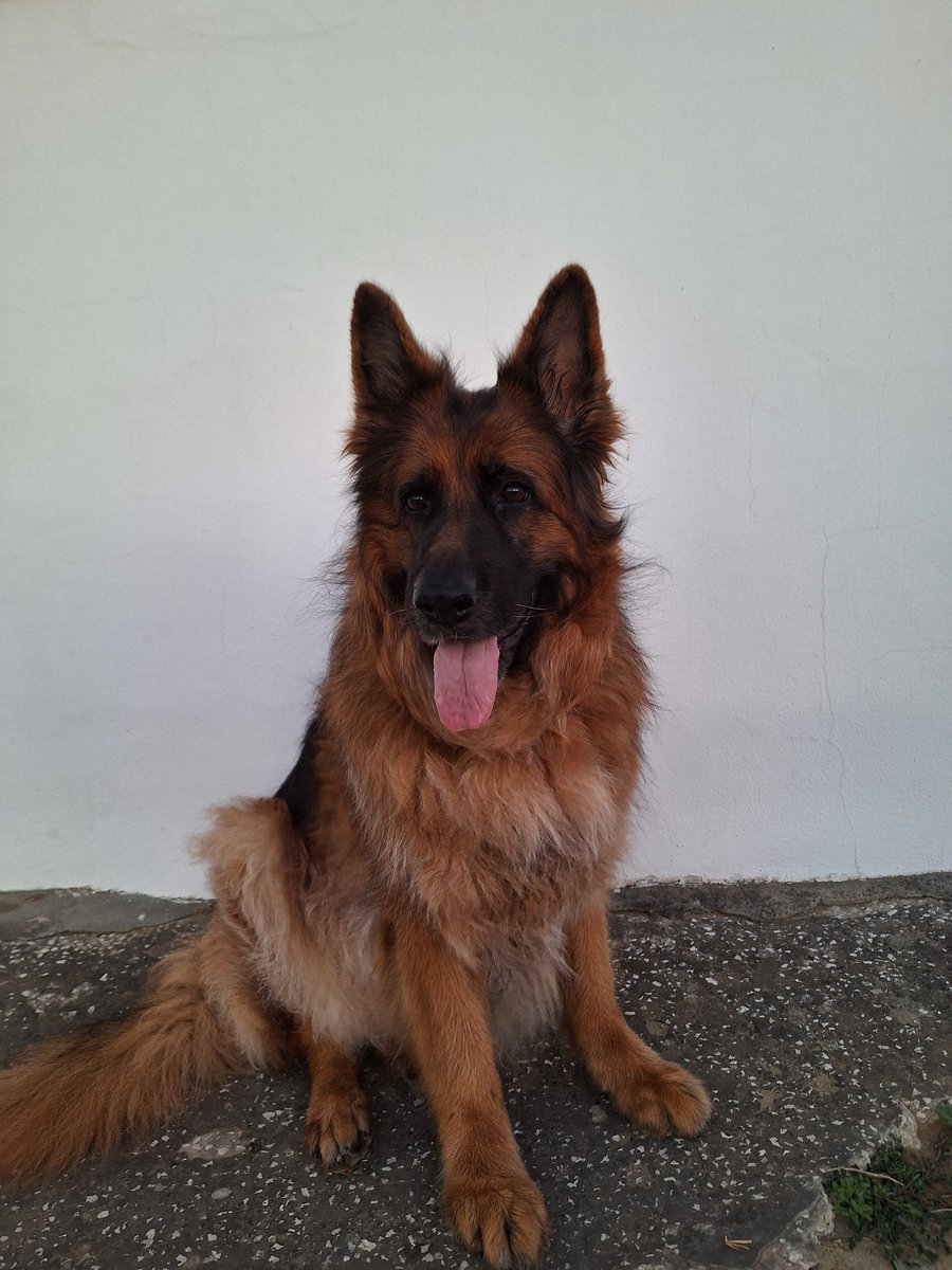 Emi López Ortega tweet media