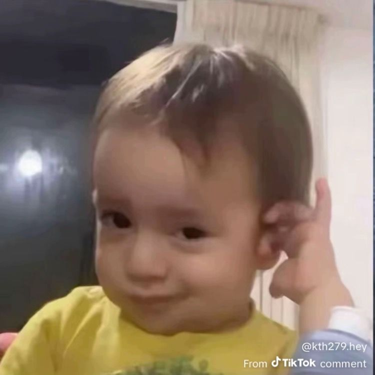 時雨, SŌMA. tweet media