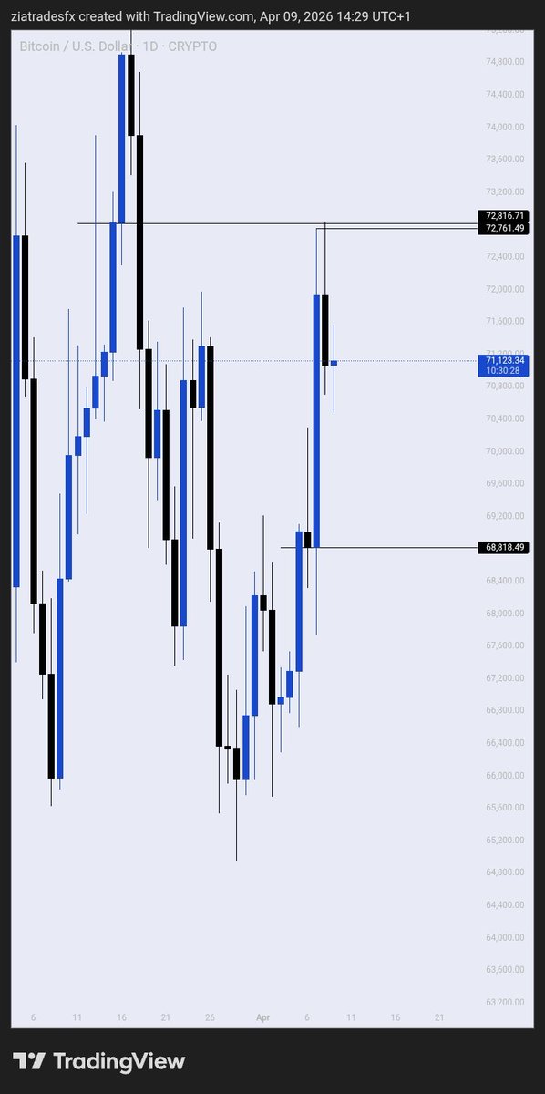 Zia Trades tweet media