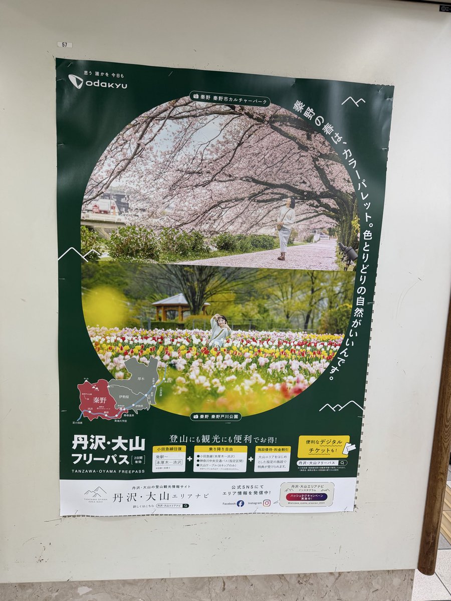 マヌルネコ tweet media