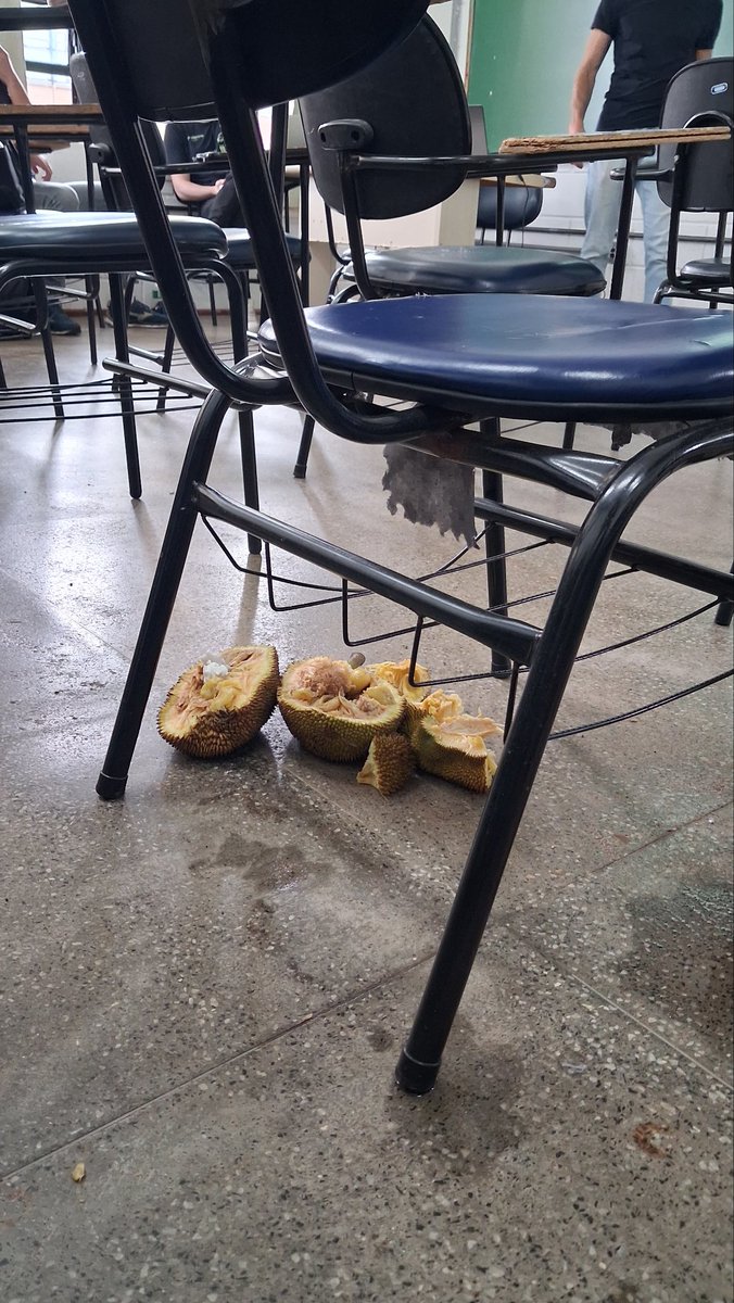 Giulia, às vezes Róllie⚢ tweet media