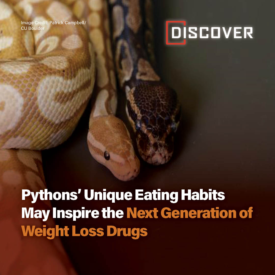 Discover Magazine tweet media