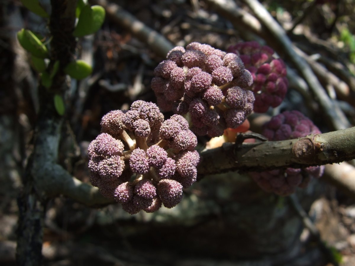 Tomoki SANDO tweet media