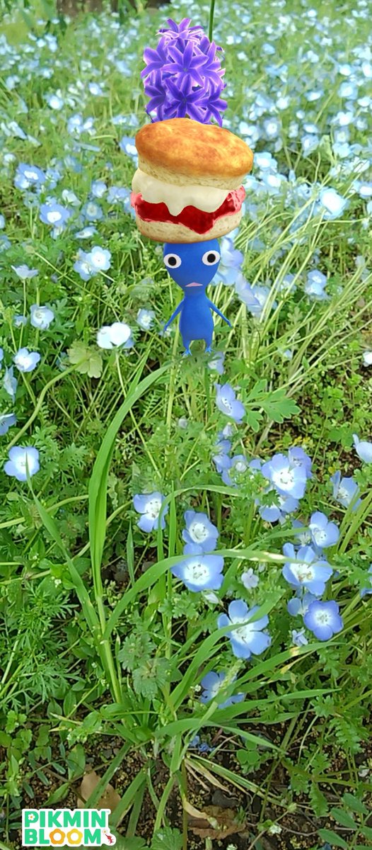 Golden Piony 🌱🐉🪄 tweet media