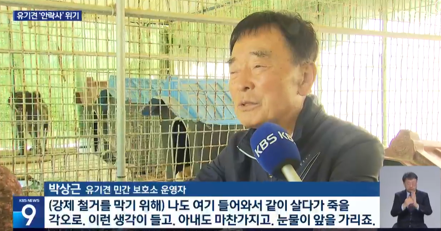 동물복지 봇 tweet media